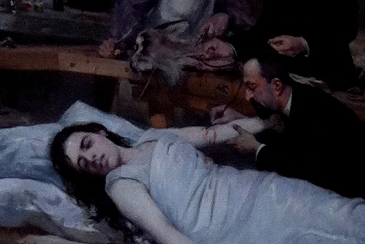 Transfusion de sang de chèvre, Musee d'Histoire de la Medecine, Paris by Rosa Longo - 03.jpg